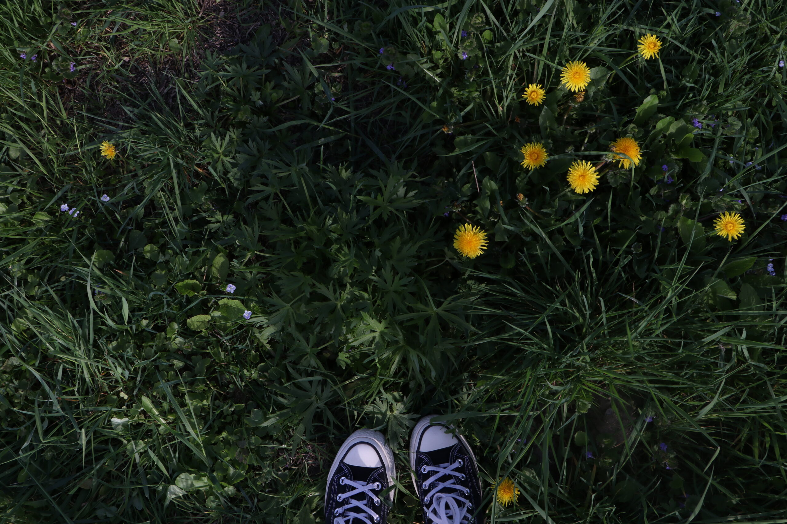 img 0116